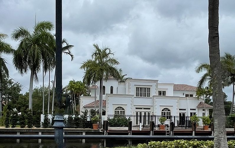 Growing Cannabis at Home in the USA: What You Need to Know