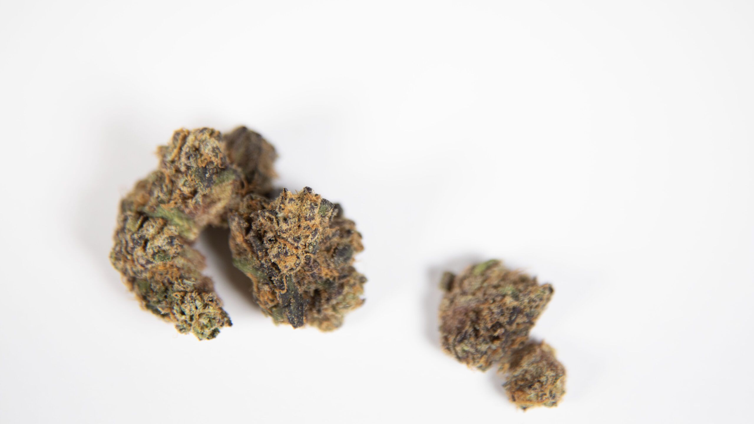 Can Cannabis Strains Aid in Weight Loss? Exploring the Possibilities